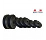 Body Tech Pvc10Kg-Combo With 15 Inches Dumbells Rod 